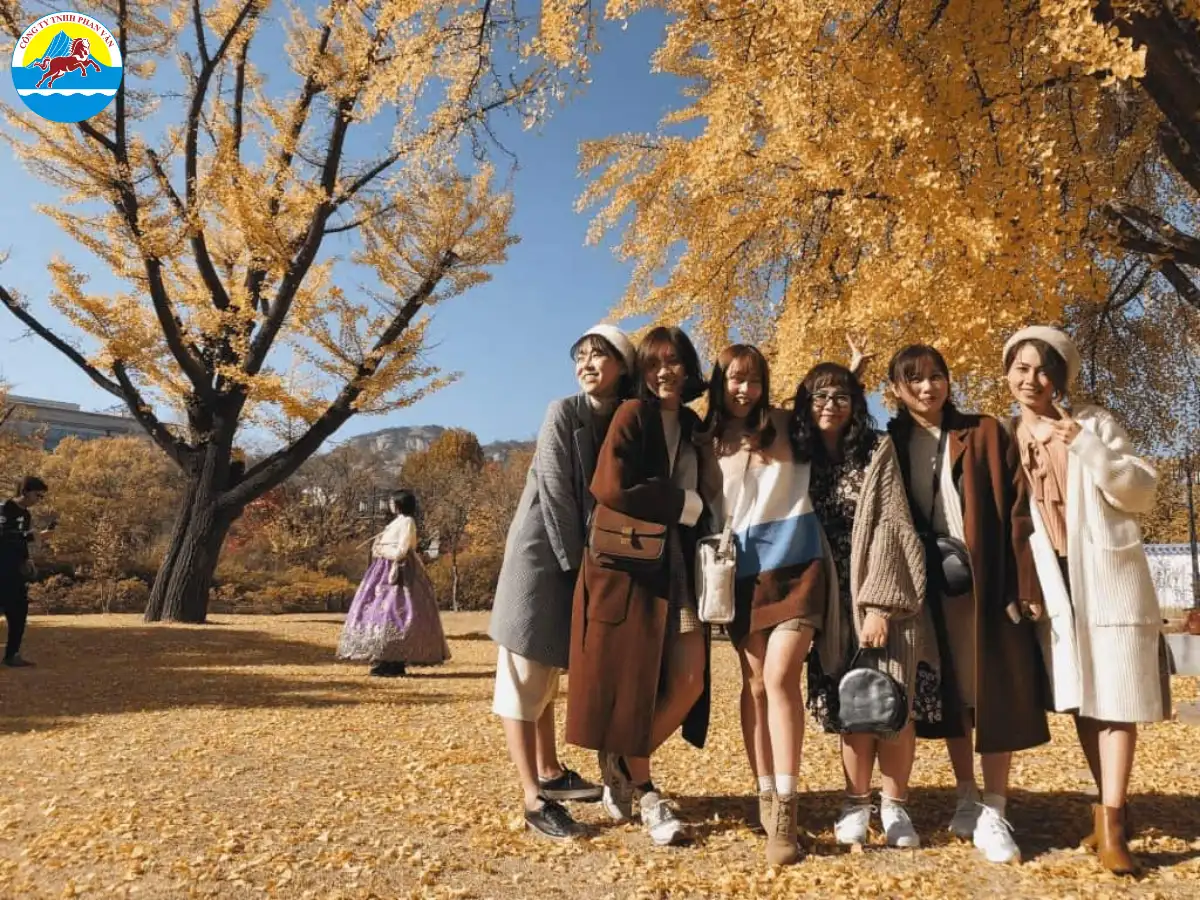 Du khách nên ưu tiên các loại trang phục phù hợp với khí hậu nóng ẩm