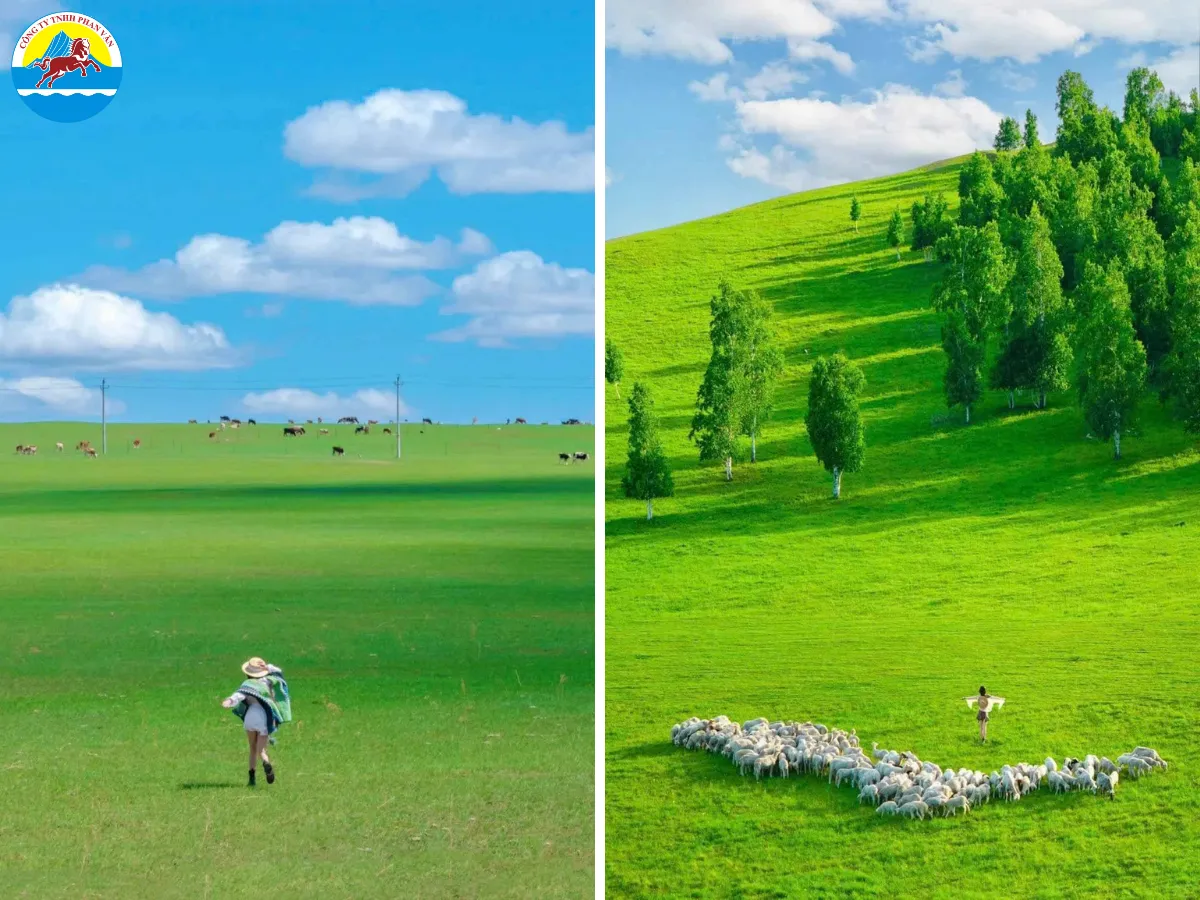 Du lịch Mông Cổ tự túc hay theo tour đều mang đến trải nghiệm riêng