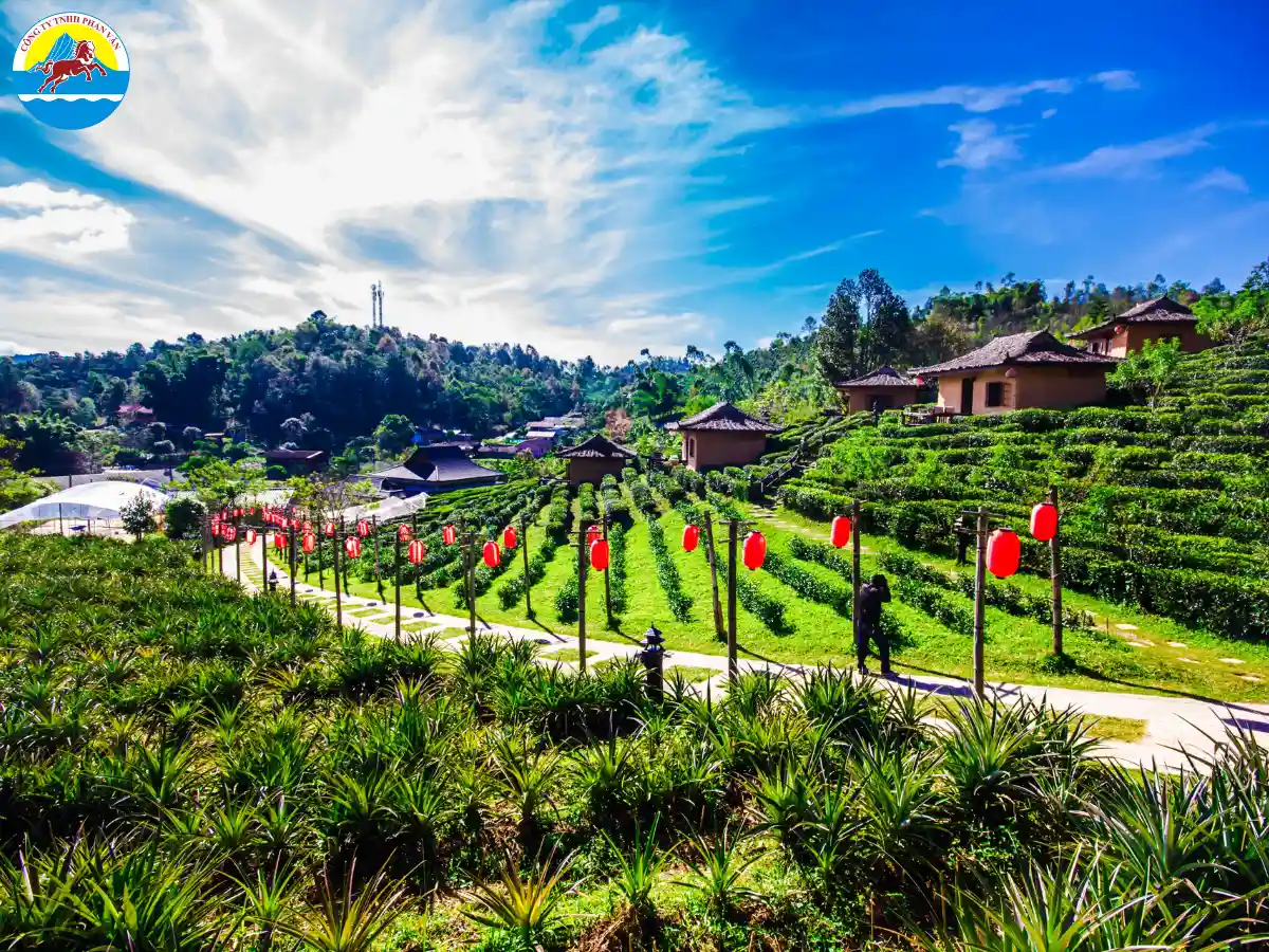 Tháng 11 - tháng 2 năm sau là mùa đẹp nhất và cũng là mùa cao điểm du lịch