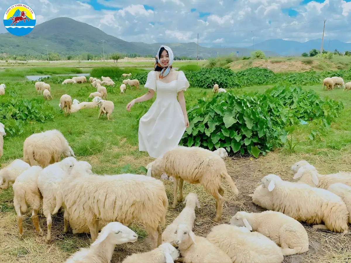 kinh nghiệm du lịch Phan Rang
