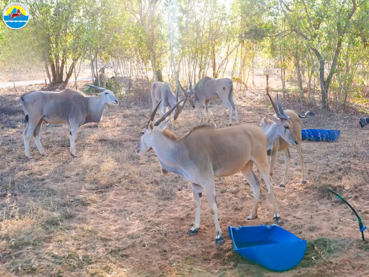 cẩm nang du lịch phan thiết​