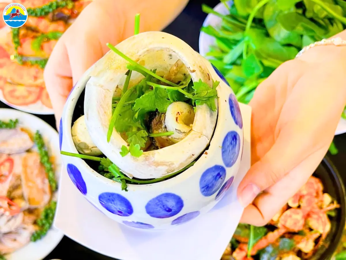 cẩm nang du lịch phú yên