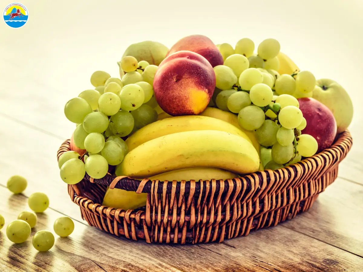 kinh nghiệm du lịch quy nhơn có trẻ nhỏ