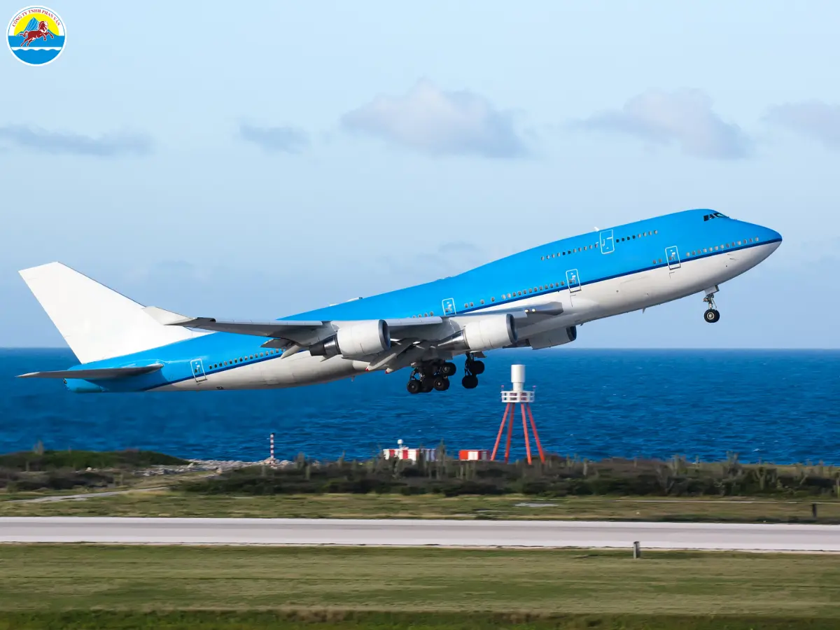 kinh nghiệm du lịch quy nhơn có trẻ nhỏ​