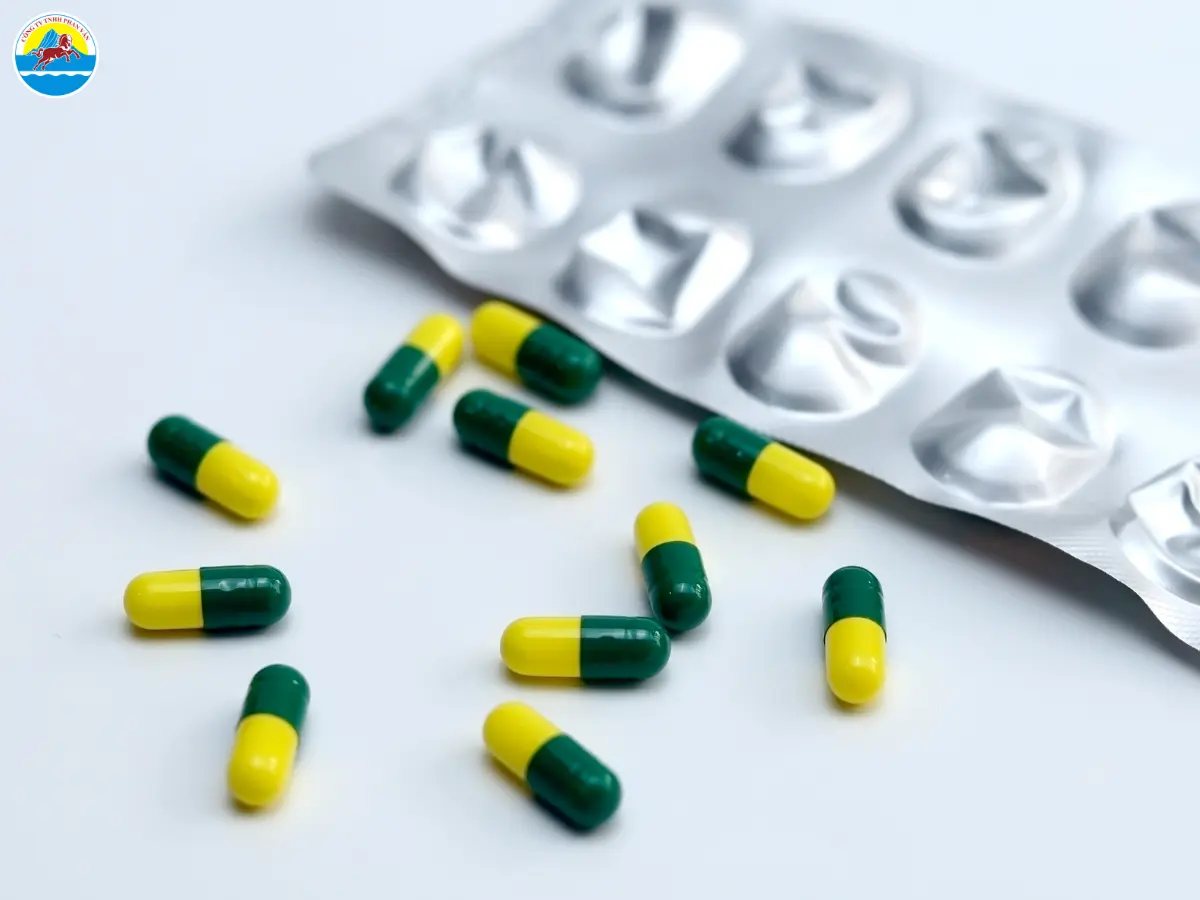 du lịch tự túc quy nhơn