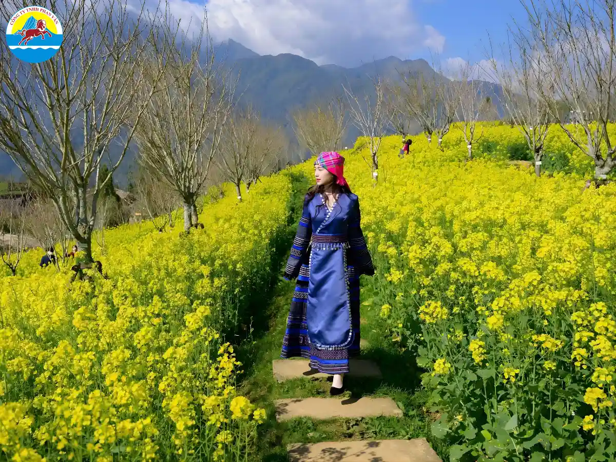 kinh nghiệm du lịch Sapa