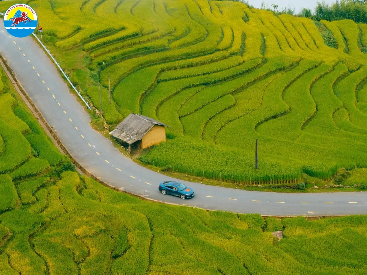 Phan Văn Travel là thương hiệu lữ hành uy tín với nhiều năm kinh nghiệm tổ chức tour Tết