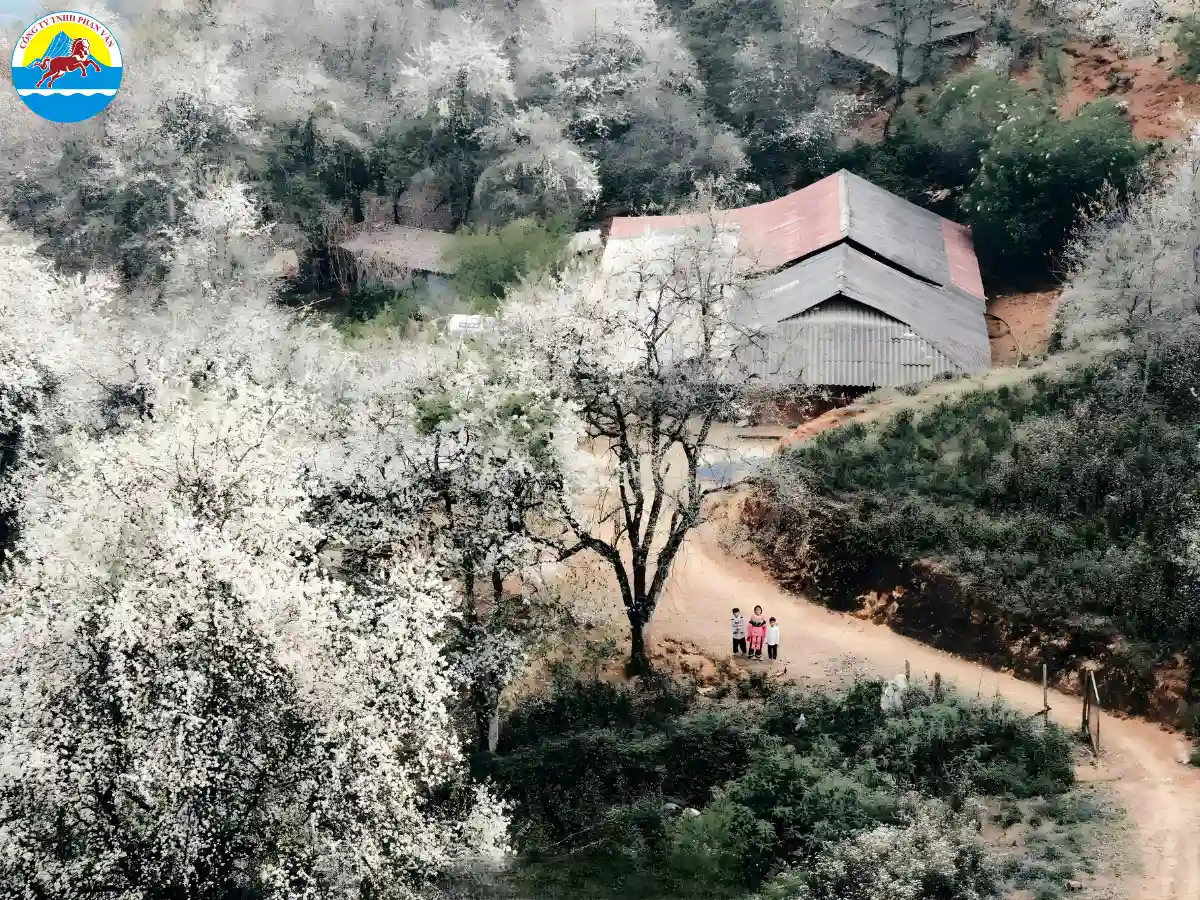 Có thể vào bản làng để ngắm hoa xuân