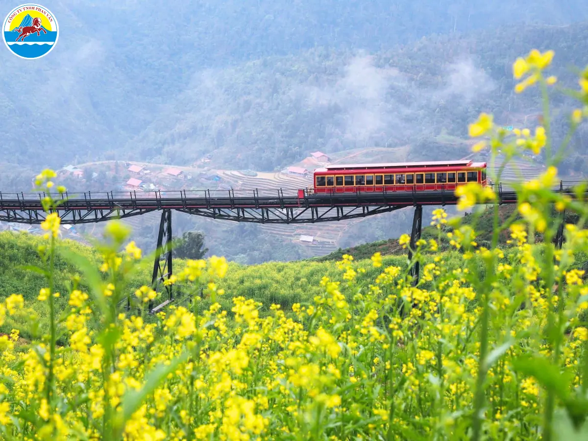 du lịch sapa tháng 1 có gì