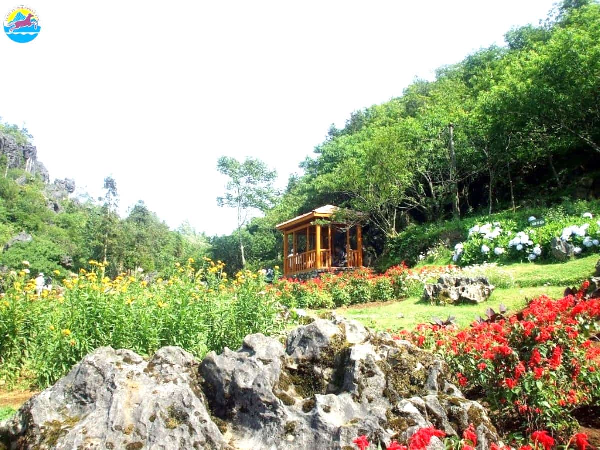 du lịch sapa tháng 2​