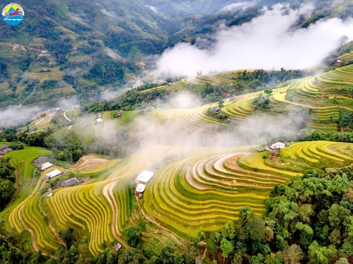 du lịch sapa tháng 3 có gì đẹp​