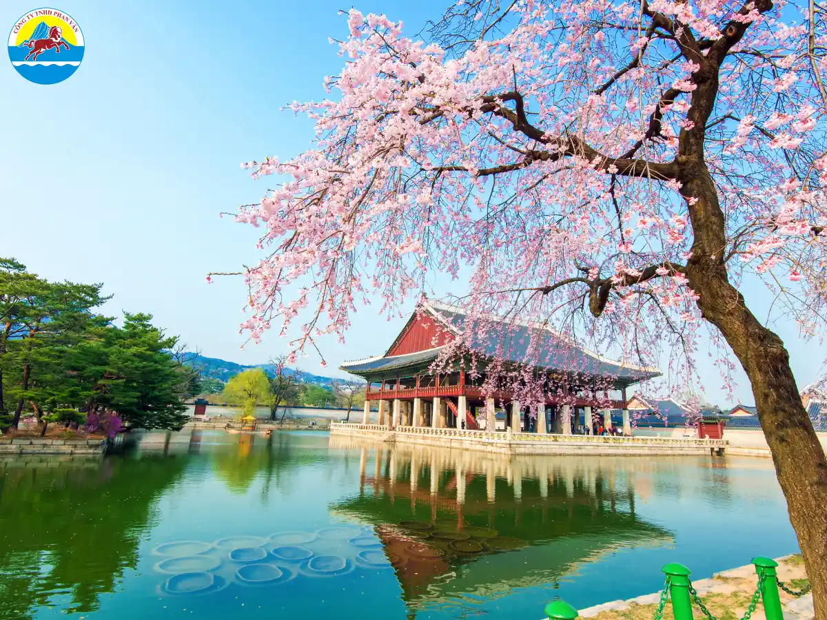 Seoul có bốn mùa rõ rệt, mỗi mùa đều mang lại một màu sắc riêng