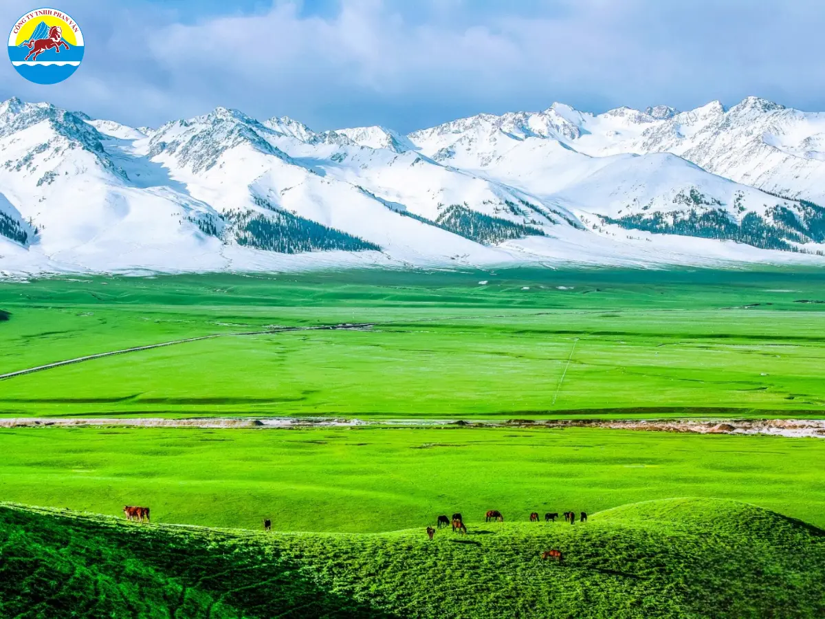 Tân Cương có khí hậu lục địa ôn đới với bốn mùa rõ rệt