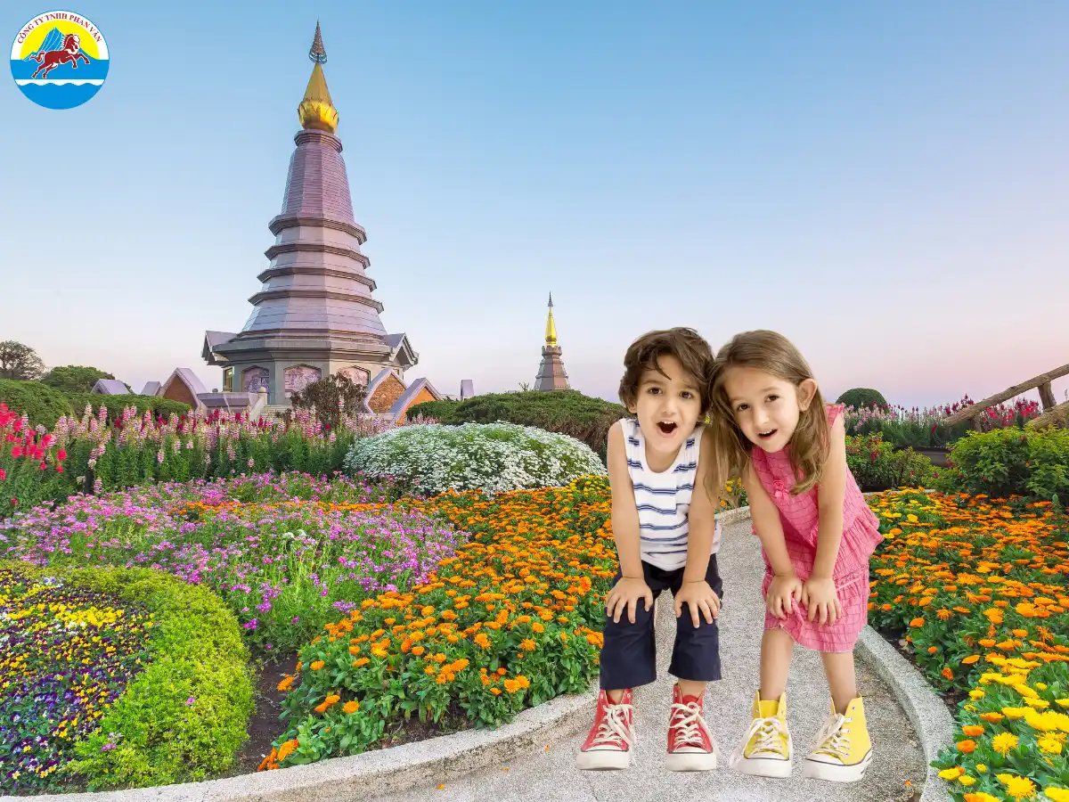 Phan Văn Travel đã thiết kế các gói tour du lịch gia đình chuyên nghiệp, thoải mái