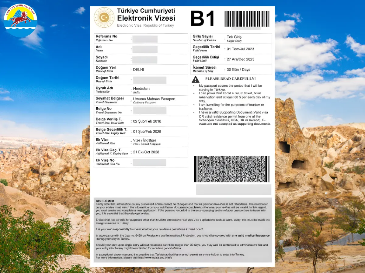 Visa điện tử (E-visa)