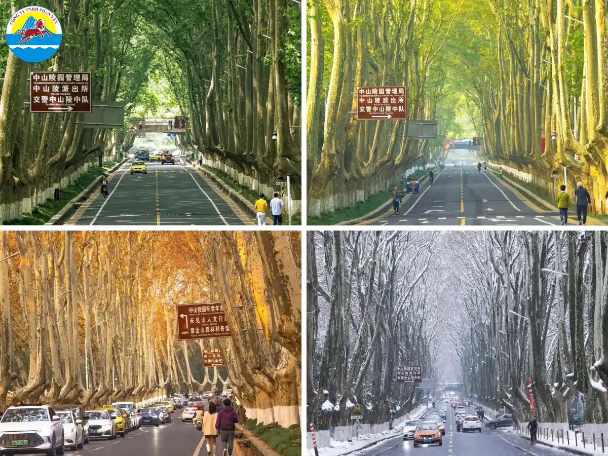 Đại lộ Nam Kinh – tuyến phố thương mại số một Trung Hoa qua 4 mùa