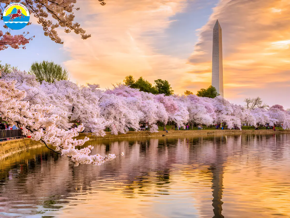 Mùa xuân dịu dàng của Washington DC