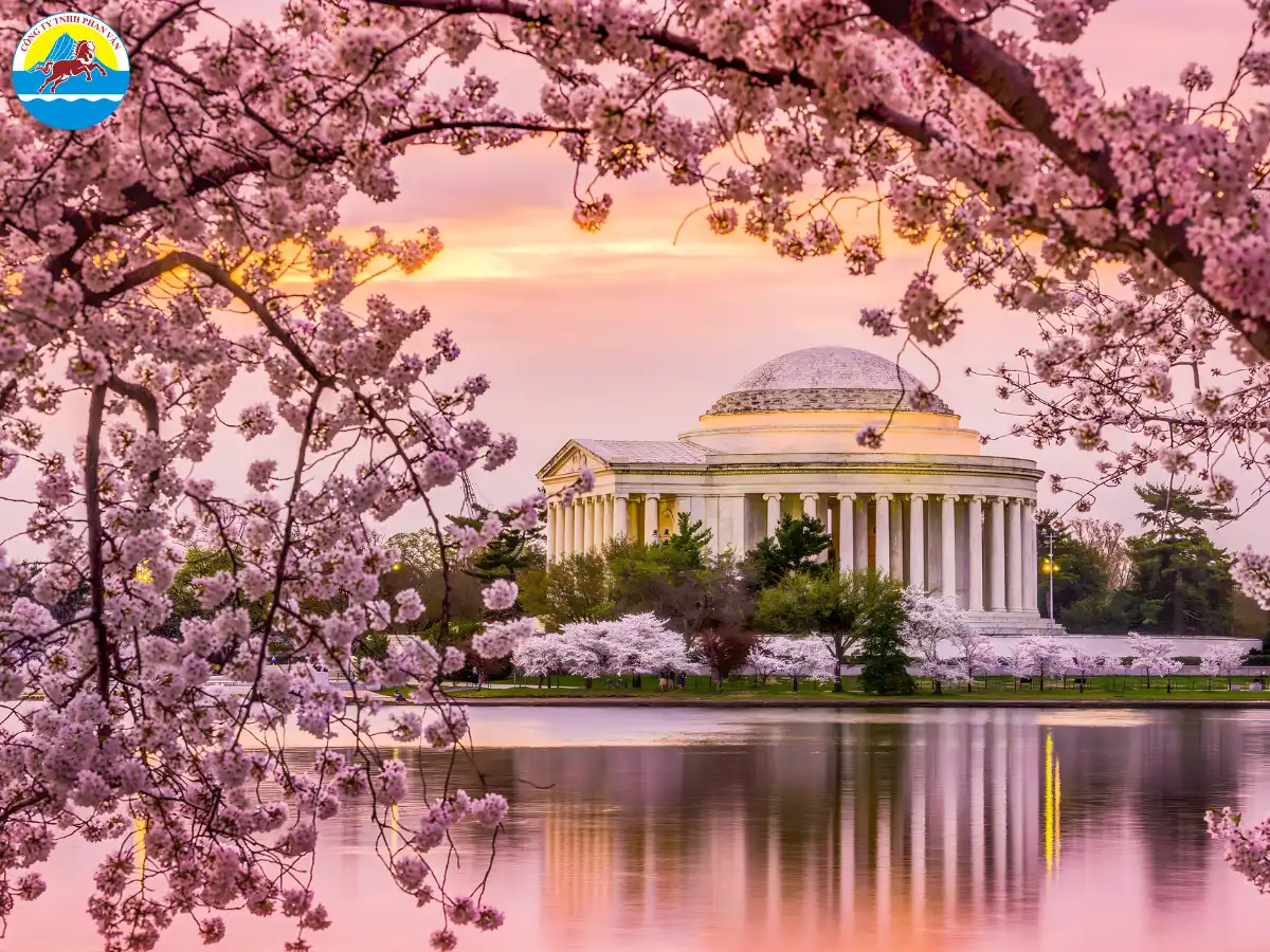 Washington mùa xuân