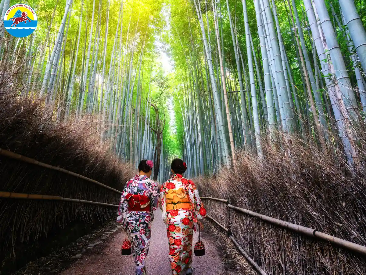 Rừng Tre Arashiyama