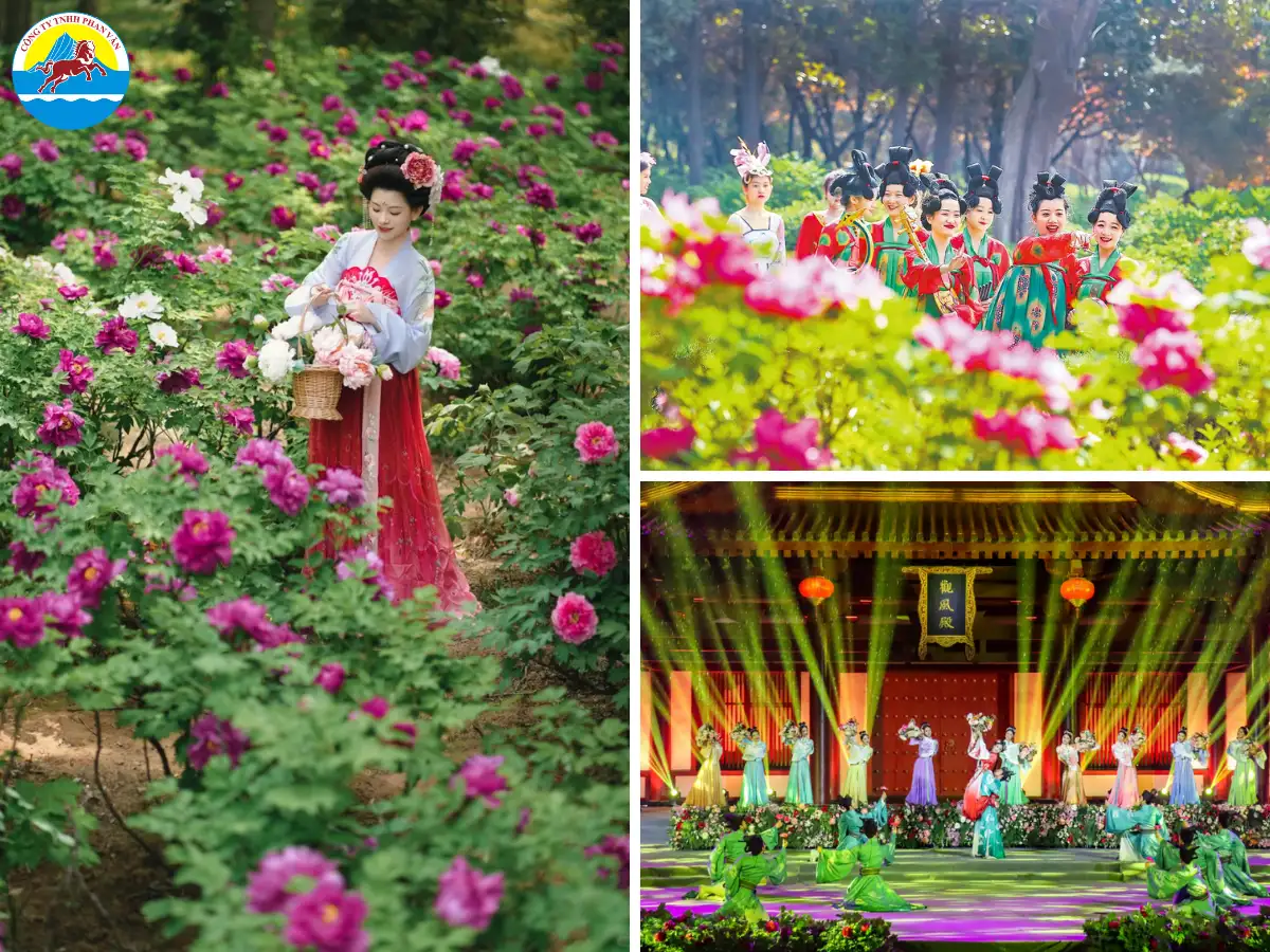 Lễ hội Hoa Mẫu Đơn tại Lạc Dương