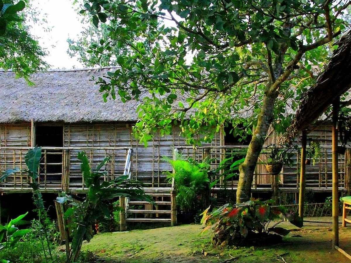 tour du lịch rừng Nam Cát Tiên