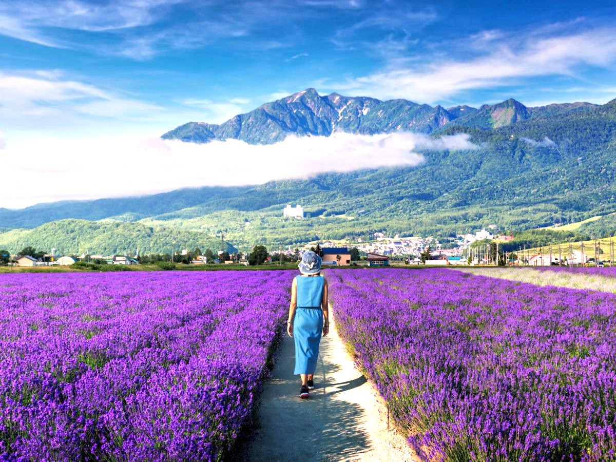 len-ke-hoach-cho-mot-chuyen-du-lich-nhat-ban-phan-van-travel-2