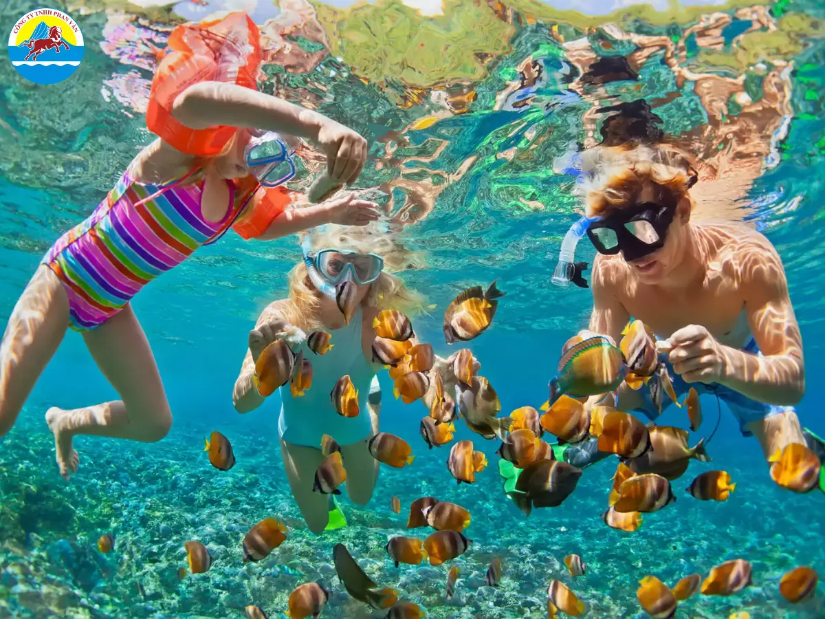 Lặn ngắm san hô