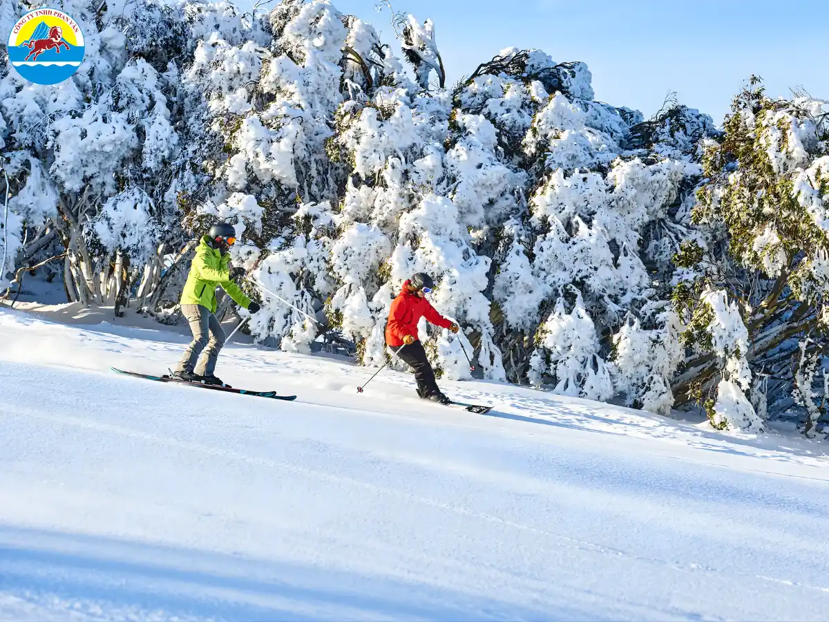 Trượt tuyết tại Mt. Buller