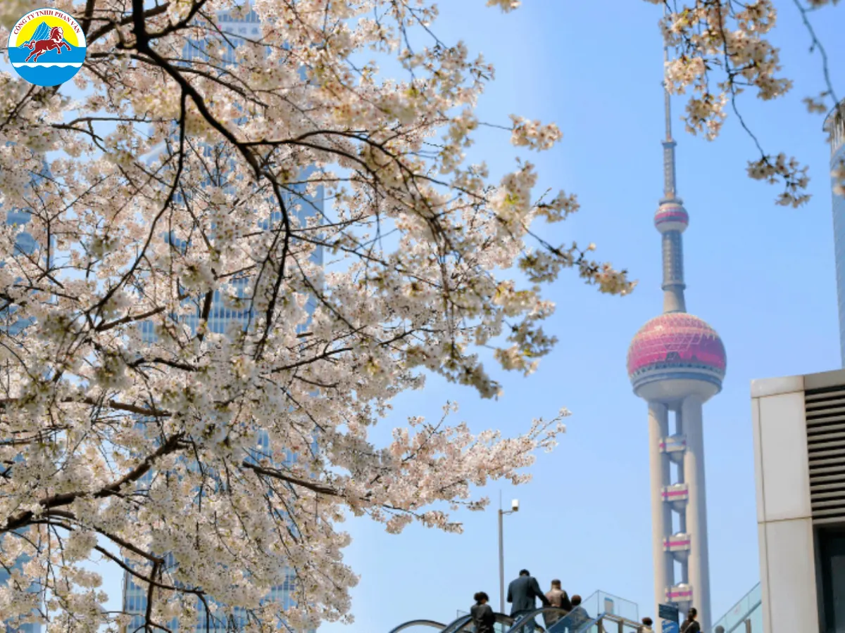 Tháp truyền hình Minh Châu Phương Đông