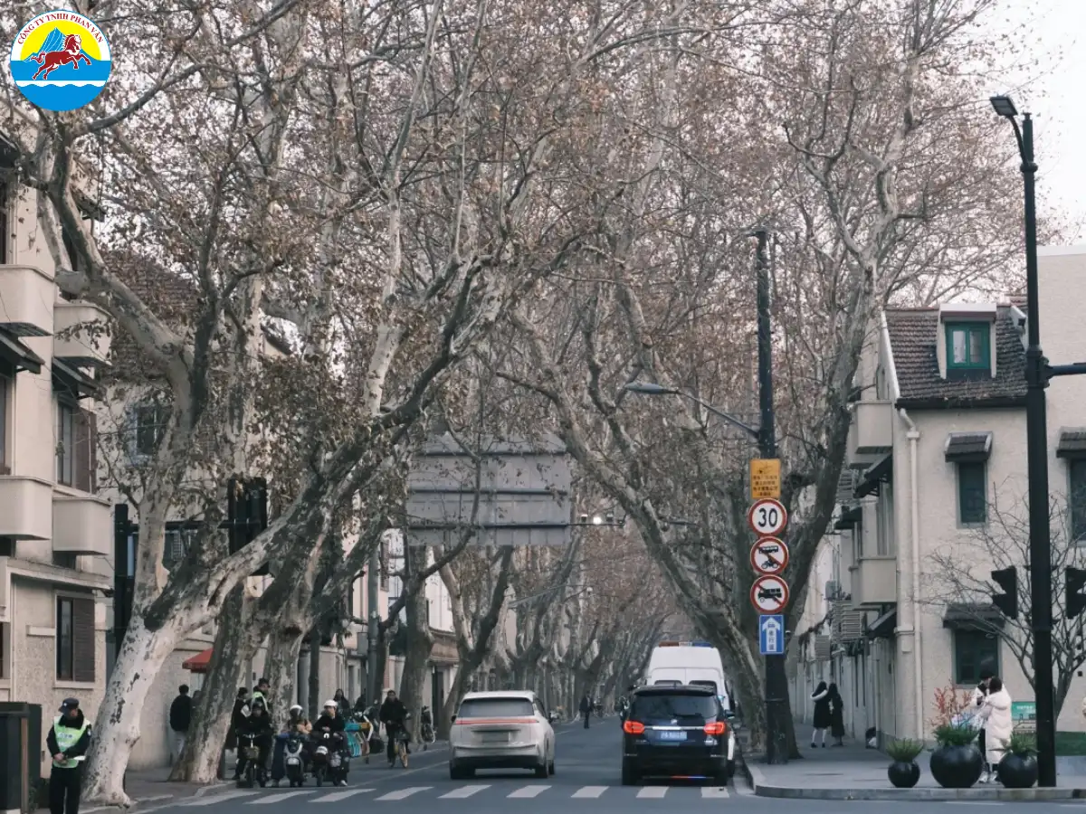 Thời tiết Thượng Hải mùa đông lạnh ẩm