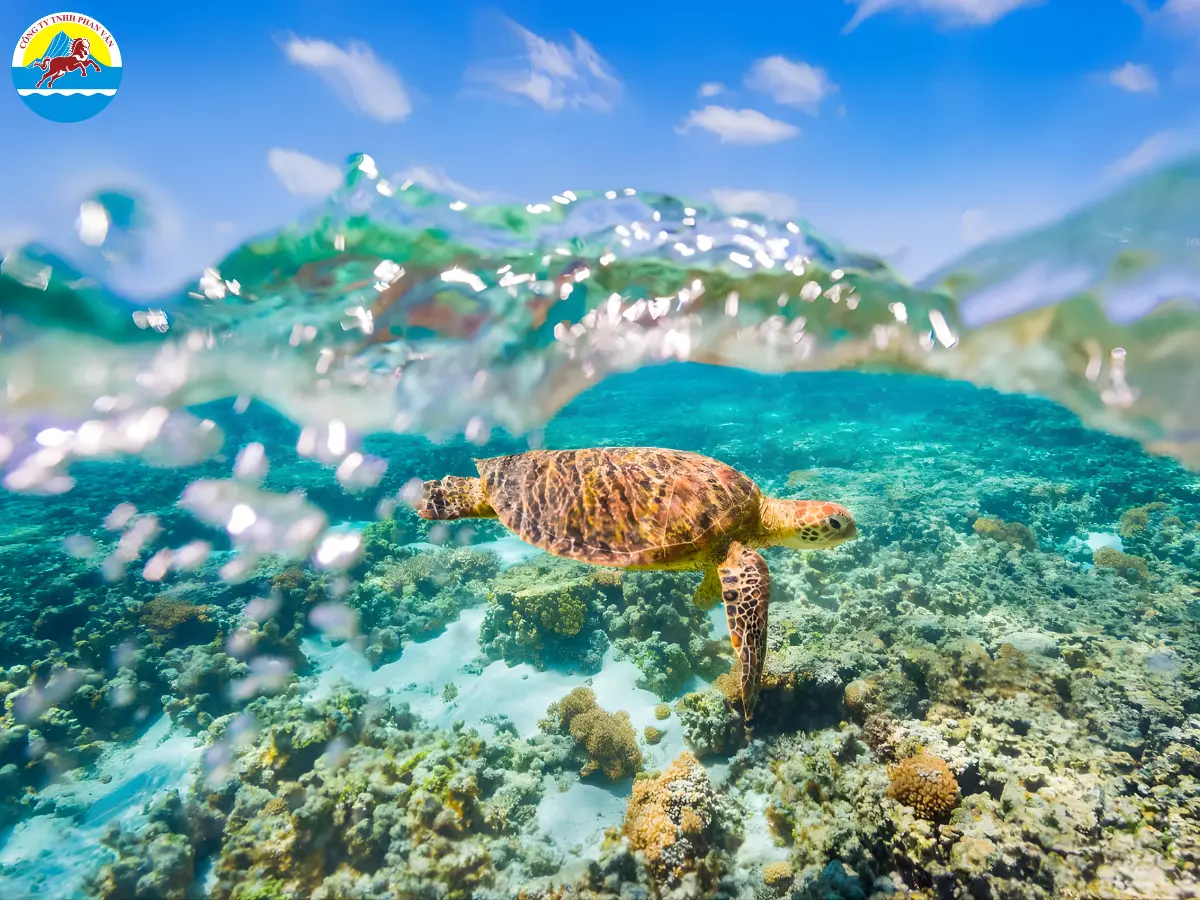 Rạn san hô Great Barrier Reef