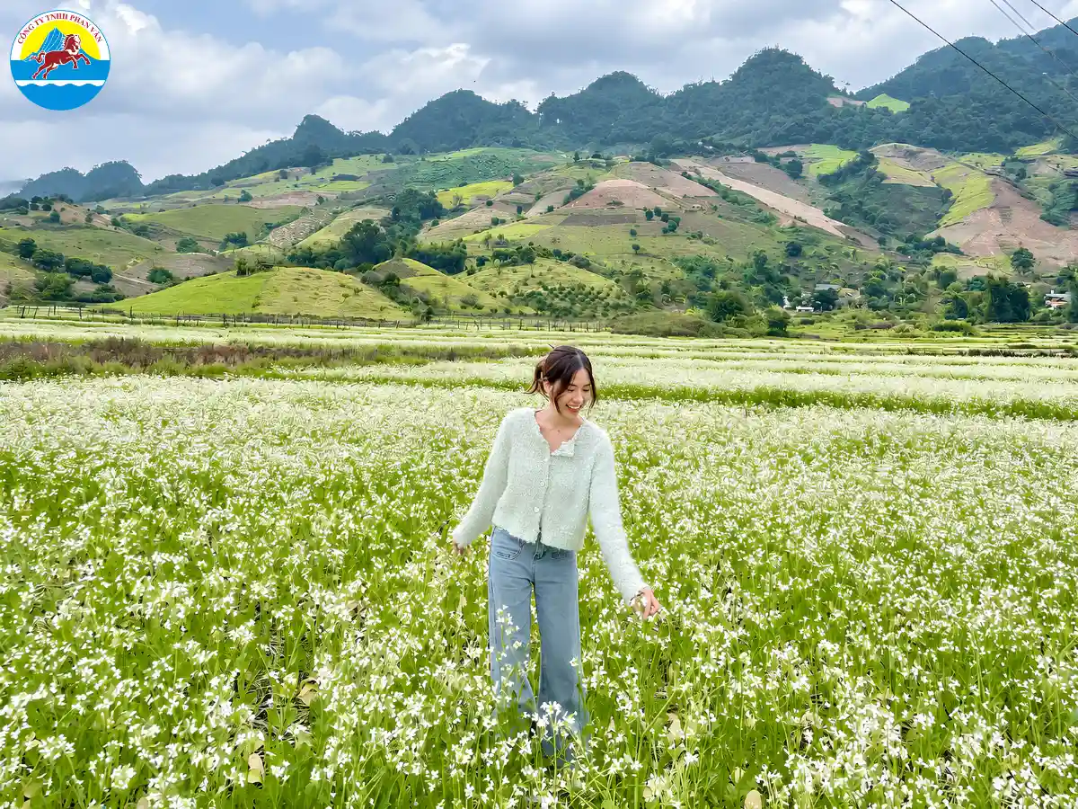 mùa hoa cải Mộc Châu