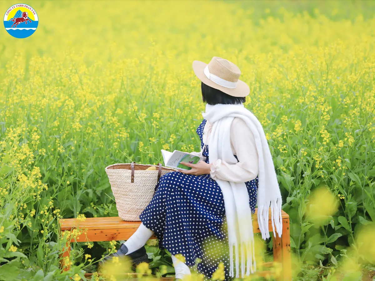 mùa hoa cải Mộc Châu
