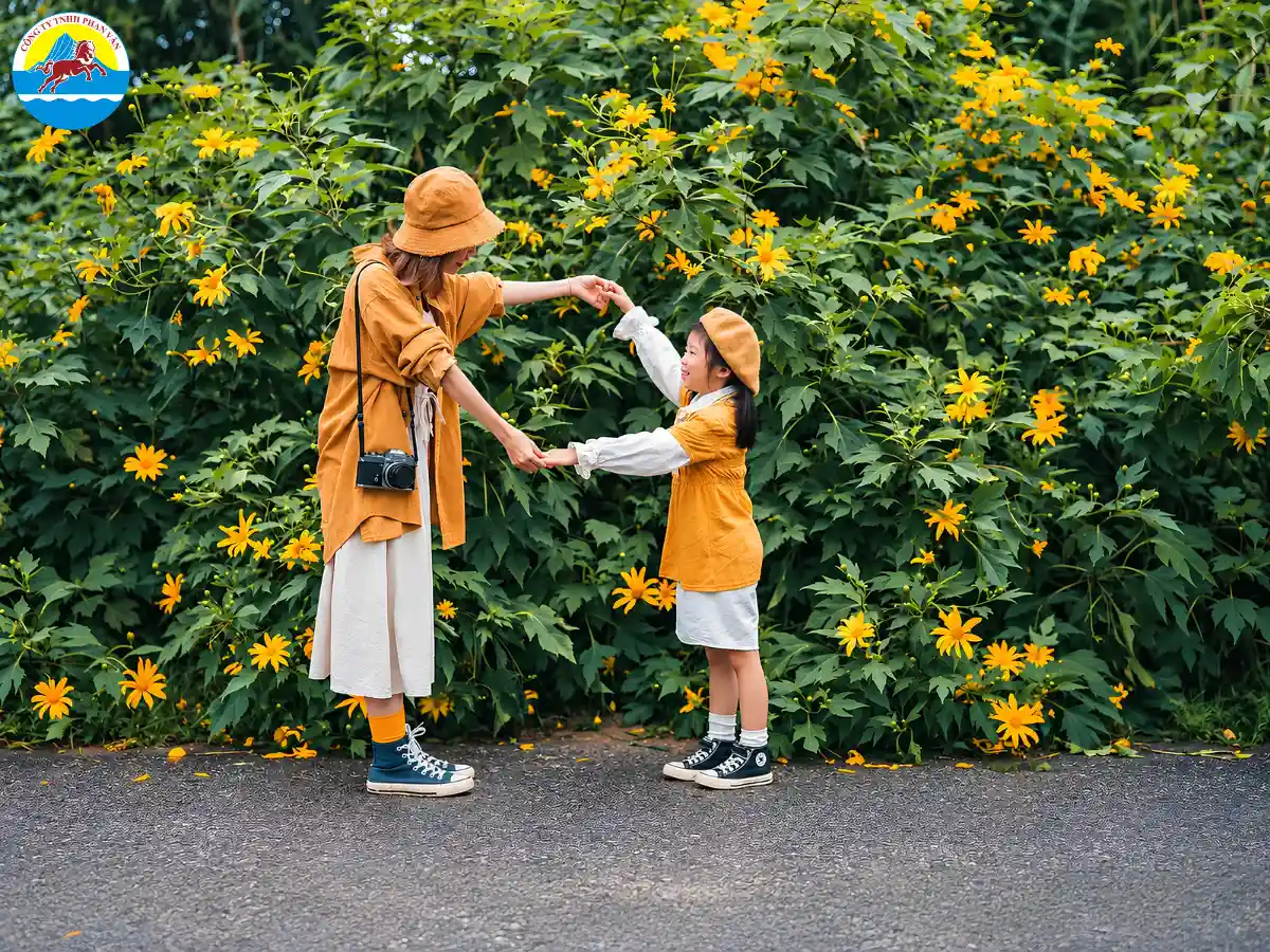 mùa hoa dã quỳ Mộc Châu