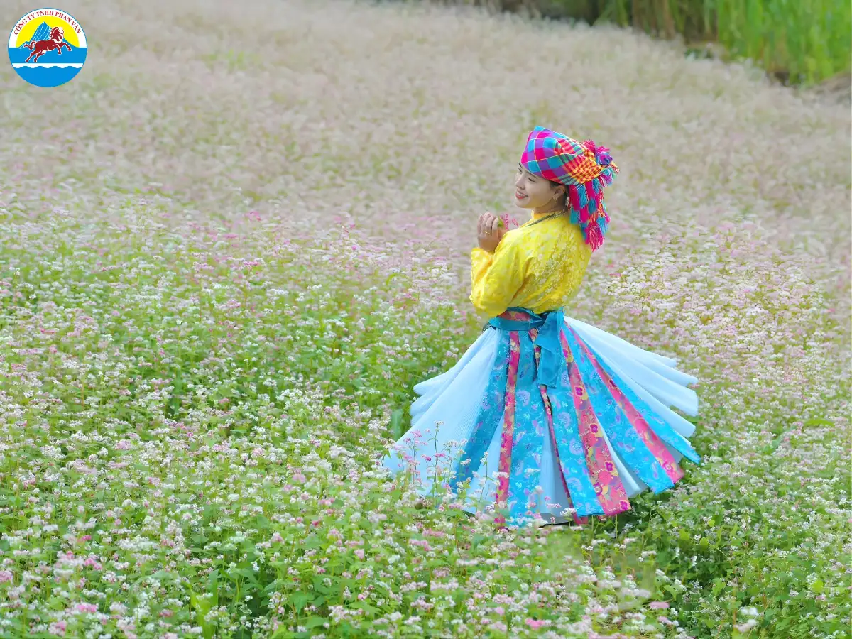 mùa hoa tam giác mạch Hà Giang