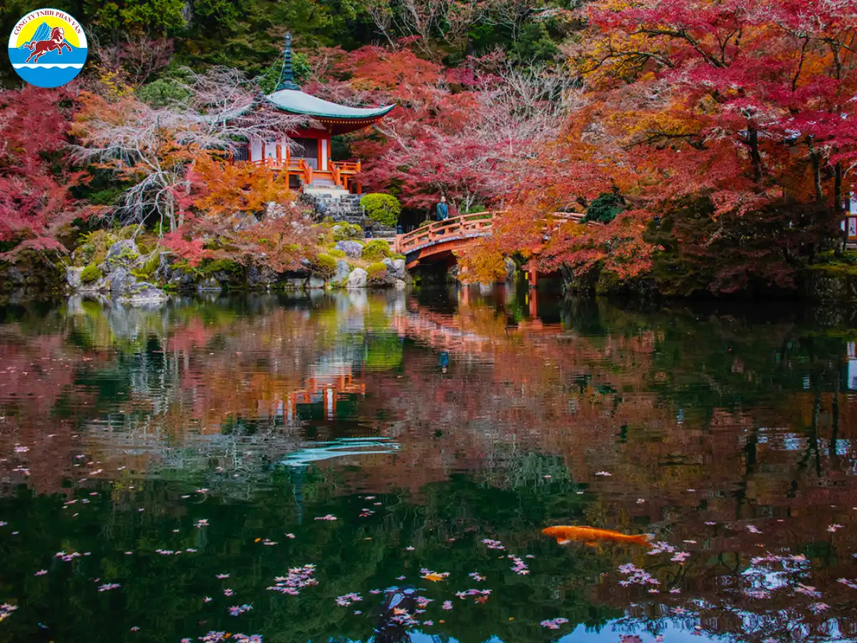 Thời điểm vàng du lịch mùa lá đỏ Nhật Bản