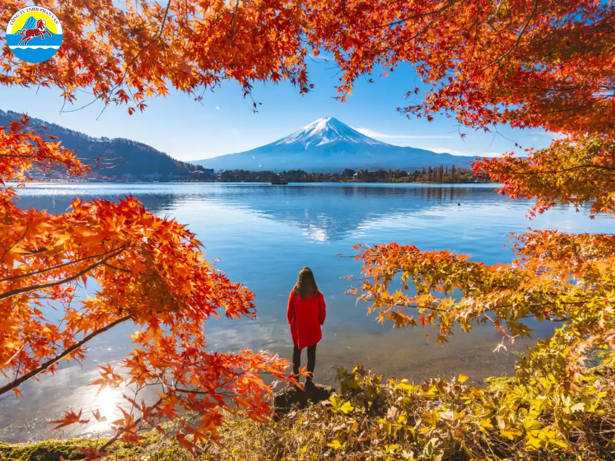 Du lịch tự túc hay đi theo tour trọn gói phụ thuộc vào nhu cầu và kinh nghiệm của du khách