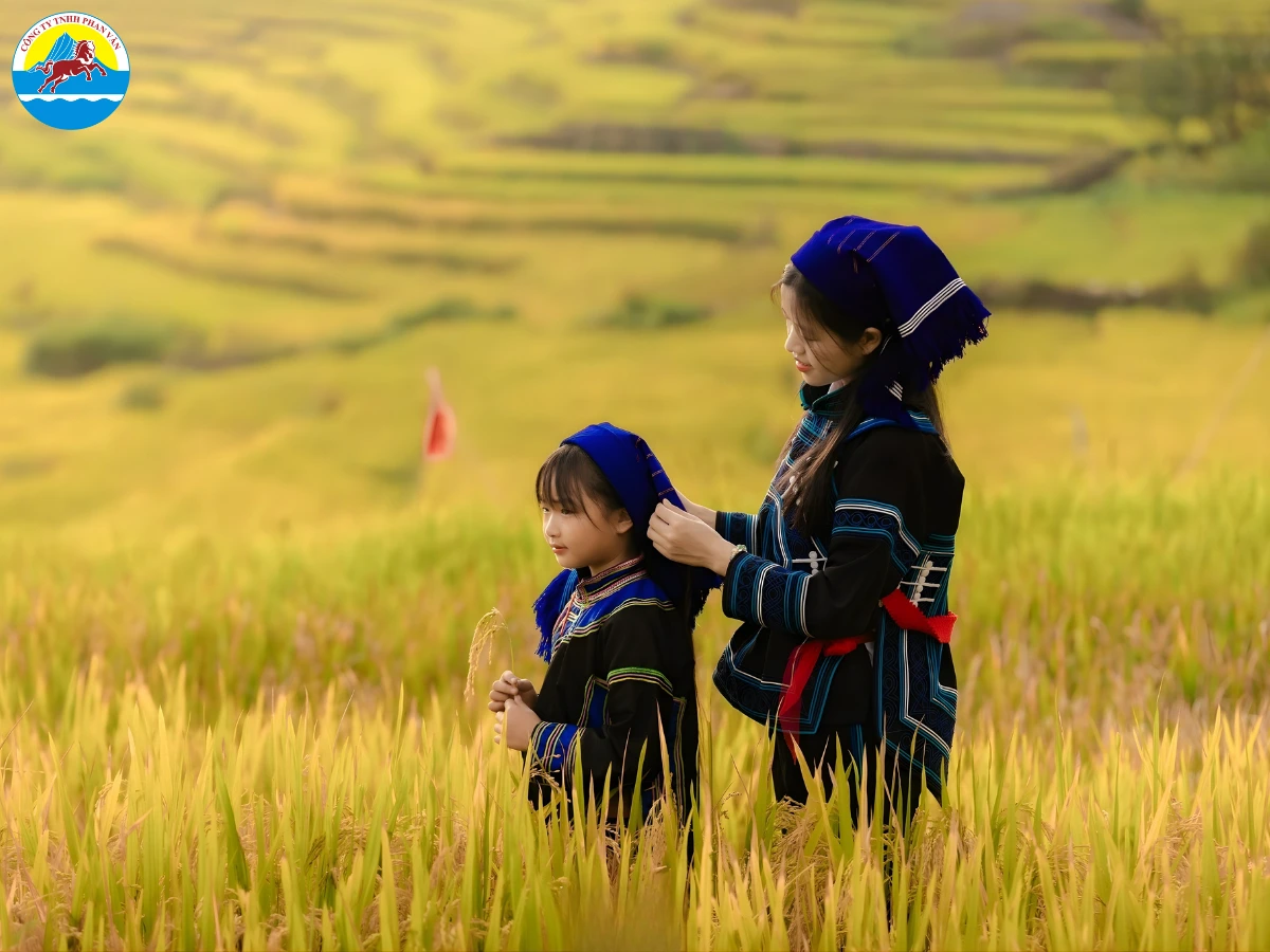 Hà Giang mùa lúa chín