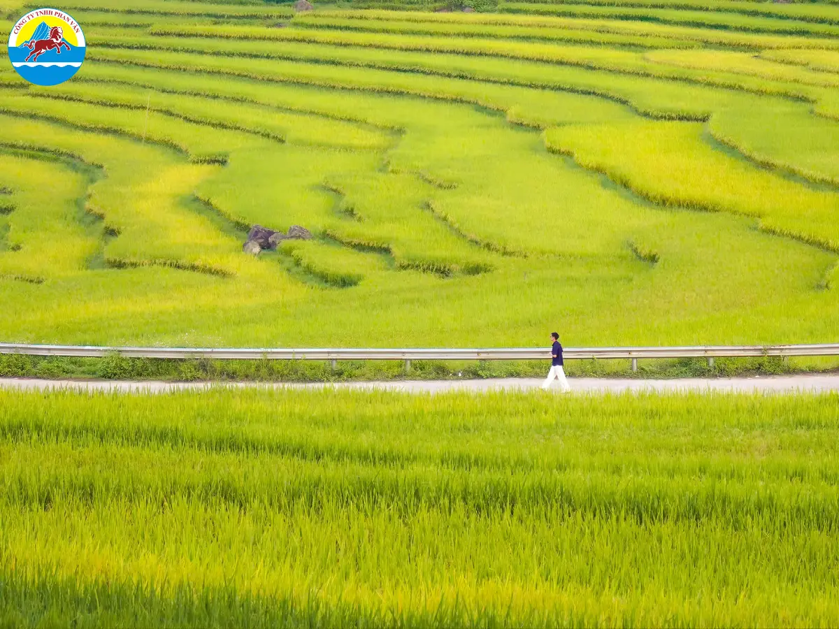 Hà Giang mùa lúa chín