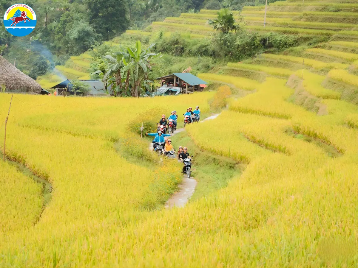 Hà Giang mùa lúa chín