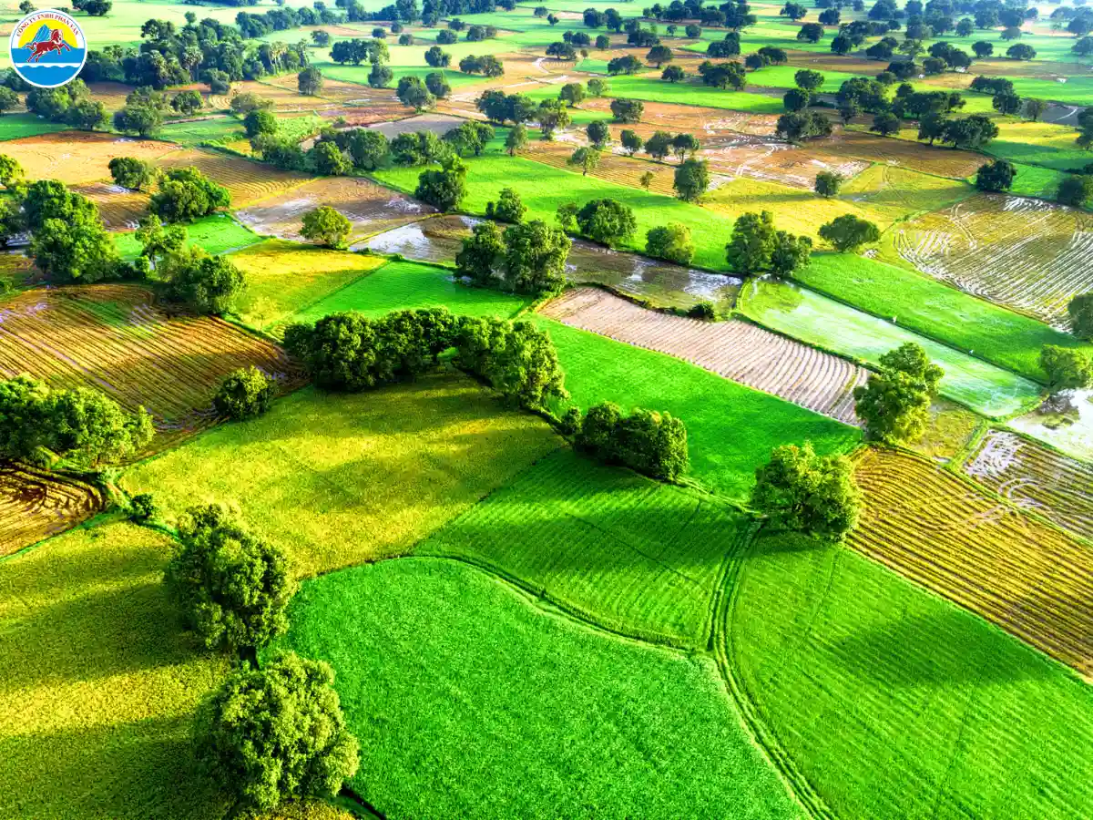 cảnh đẹp an giang mùa nước nổi