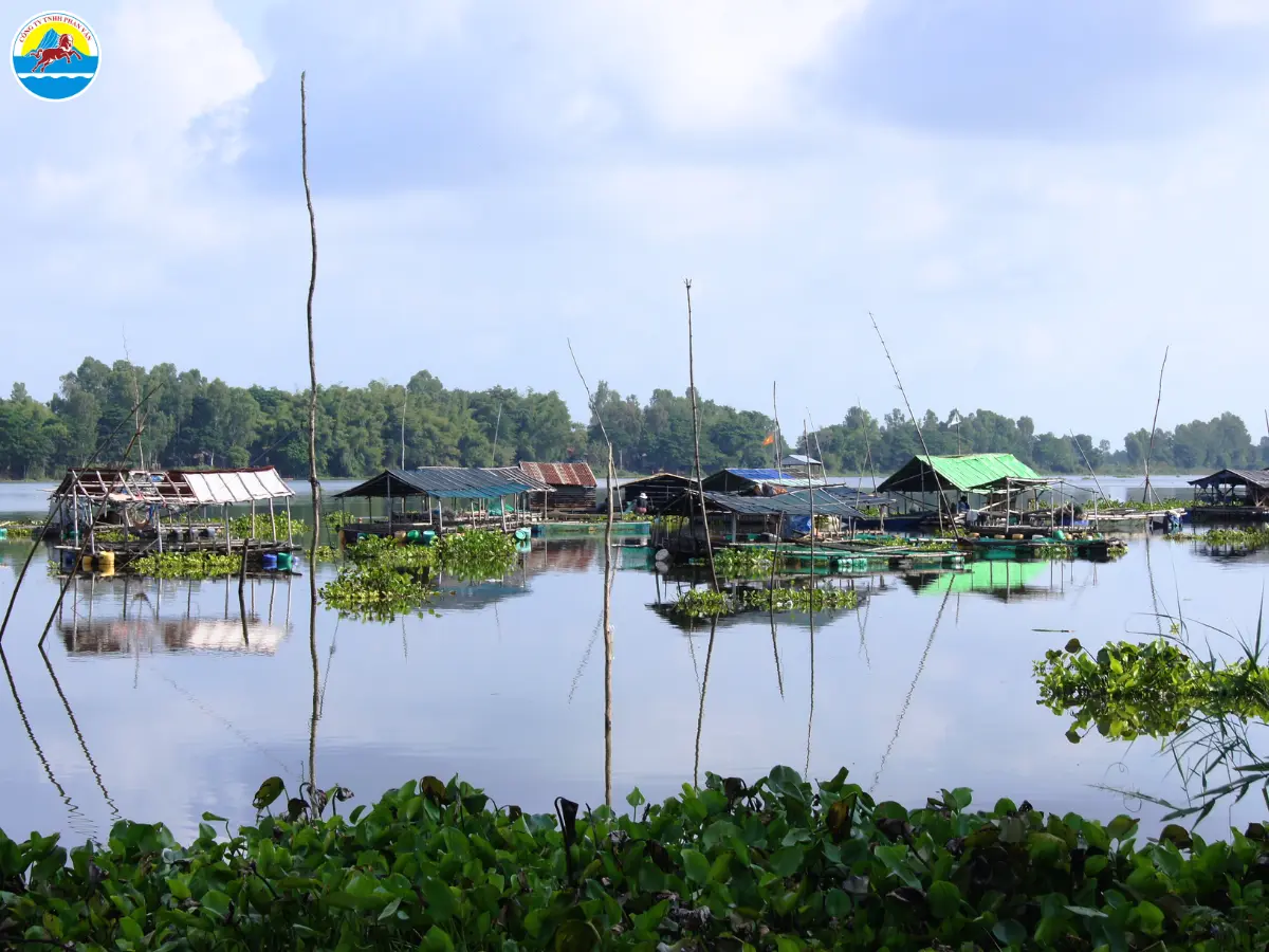 đặc sản mùa nước nổi an giang