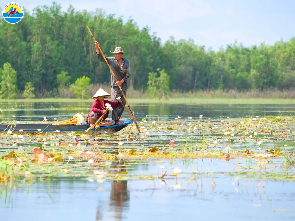 du lịch mùa nước nổi ở an giang