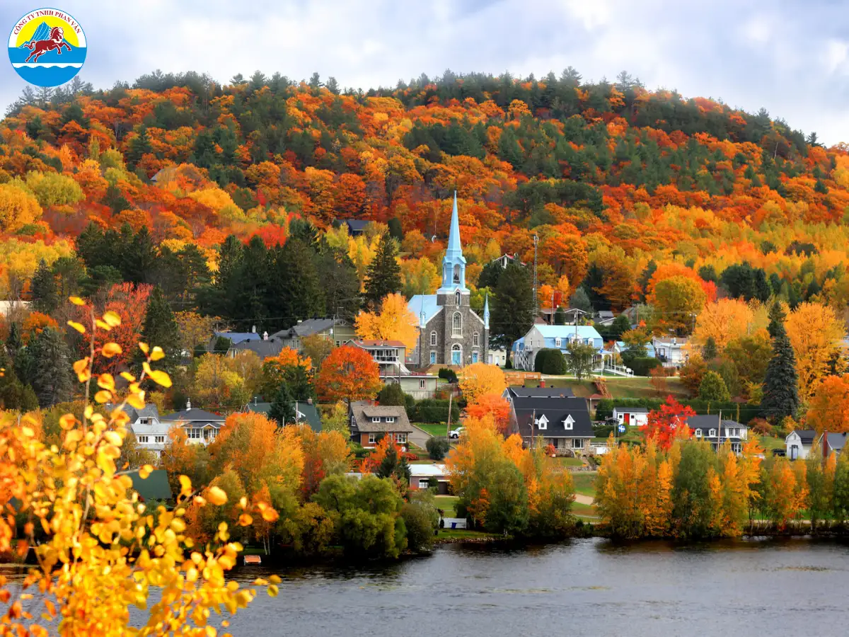 Cây phong là biểu tượng quốc gia của Canada