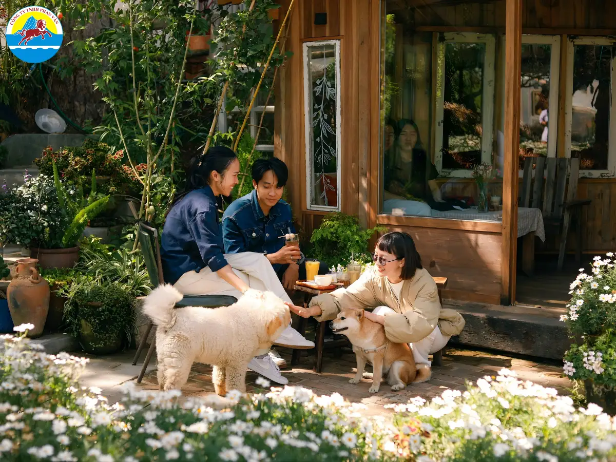 Tiệm cà phê Túi Mơ To