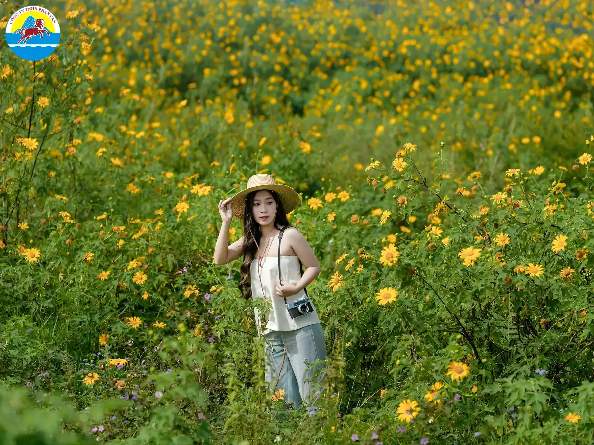 mùa thu đà lạt​