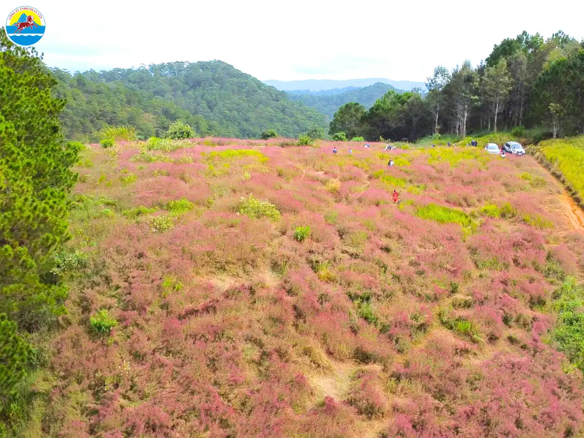 du lịch đà lạt mùa thu