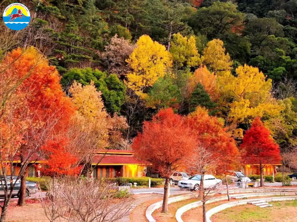Vườn Quốc gia A Lý Sơn
