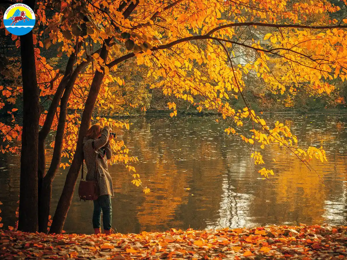 Chi phí du lịch Mỹ