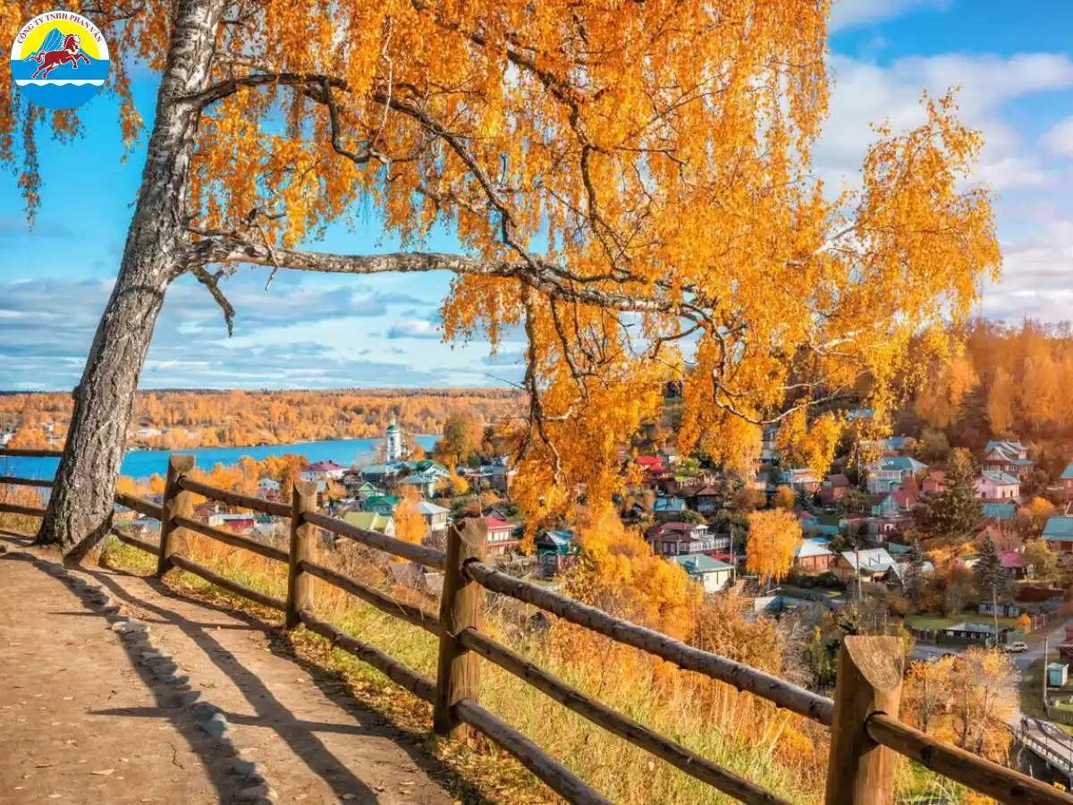 Phan Văn Travel thiết kế các tour chuyên biệt